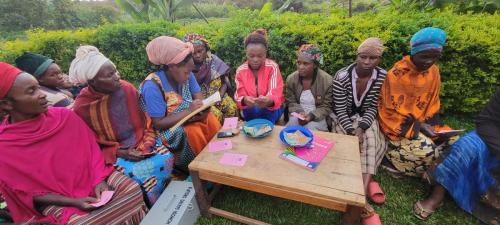 Part of VSLA groups in rural villages of Bunyangabu district